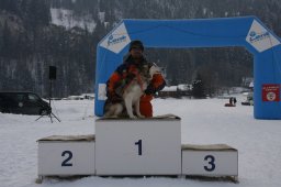 Lenk 2012 SM